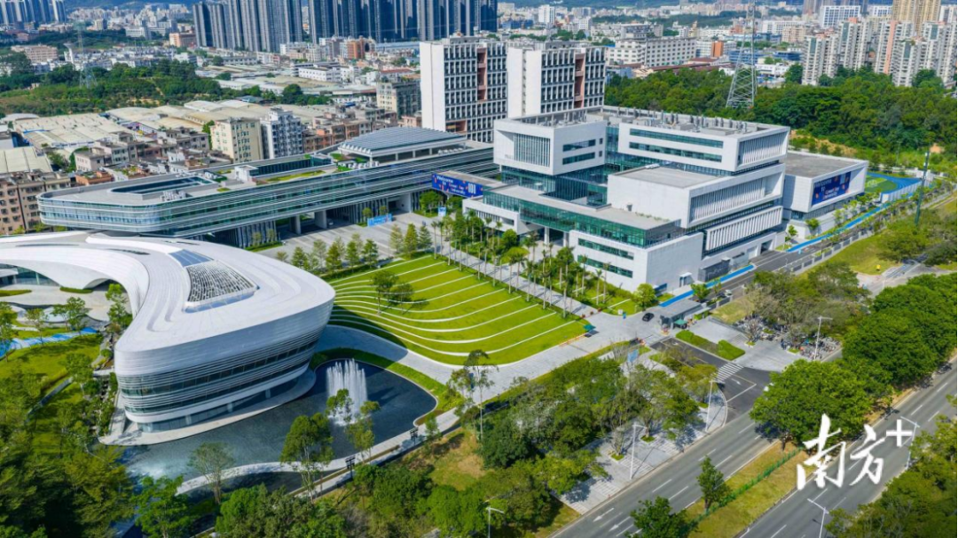 大湾区大学成立